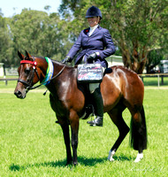 Hawkesbury Show 21st January