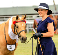 Saddle Pony Rings