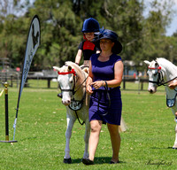 ridden tiny tots