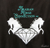 Double Diamonds Arabian showcase