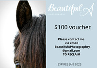 $100 voucher